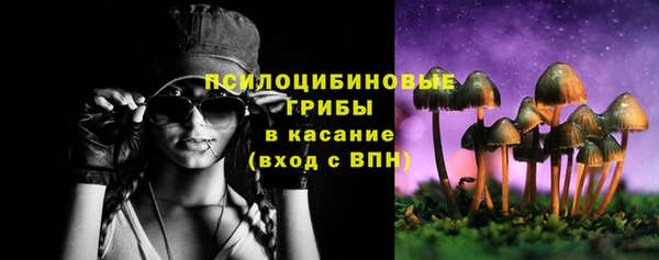 прущие грибы Аркадак