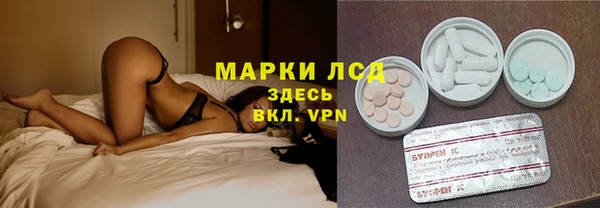 прущие грибы Аркадак