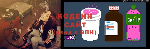прущие грибы Аркадак