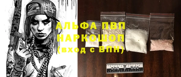 прущие грибы Аркадак