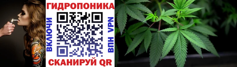 купить наркотики сайты  Высоковск  Бошки марихуана семена 